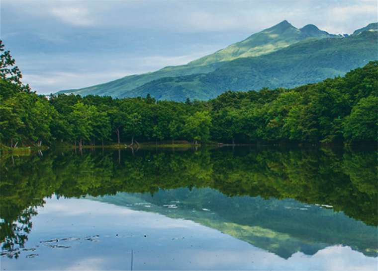 知床的享受方法
