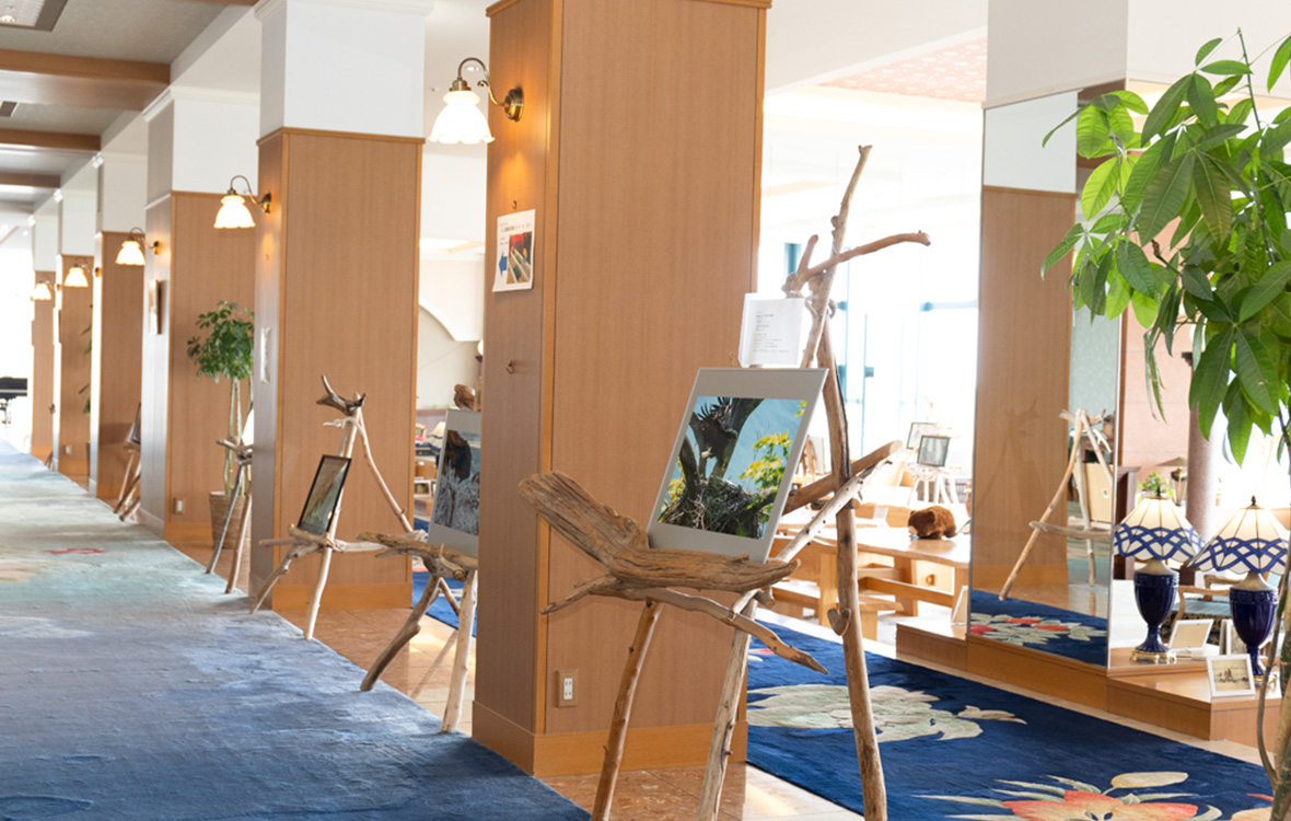 休息室“吴鲁安”