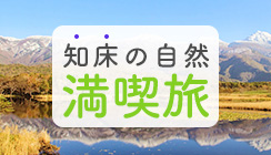 活动和观光享受计划