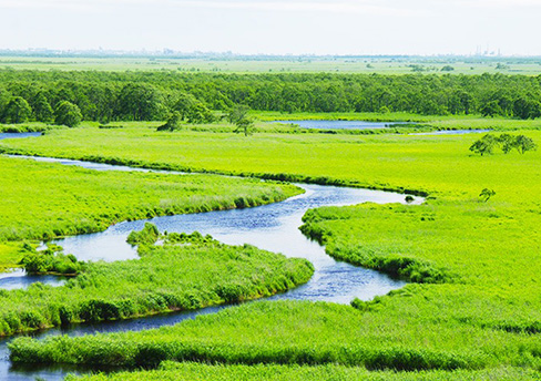钏路&阿寒湖观光