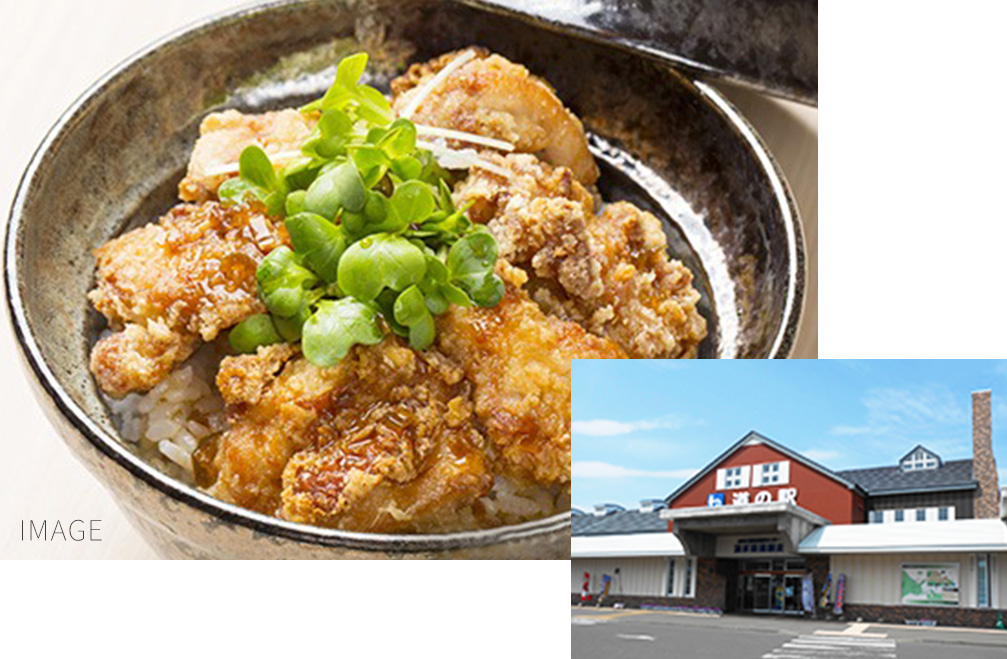 道之驿流冰街道网走