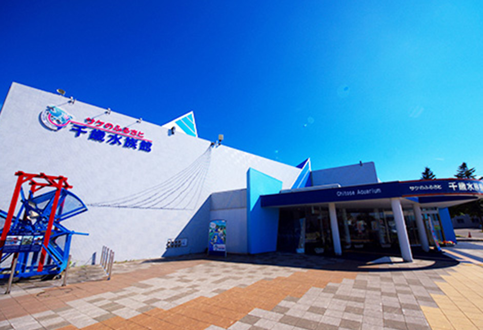 鲑鱼的故乡千岁水族馆