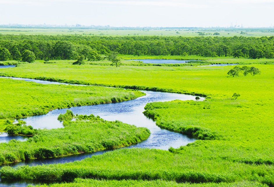 钏路市湿原展望台