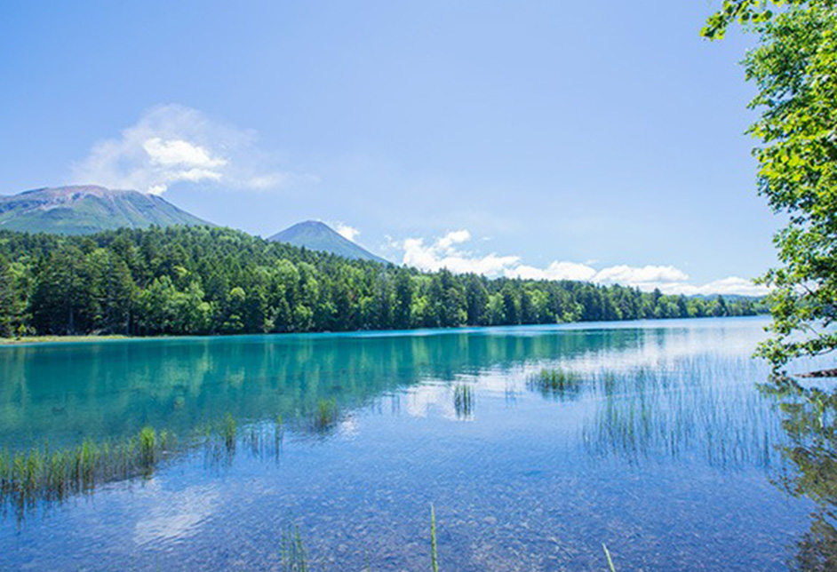 入住阿寒湖温泉