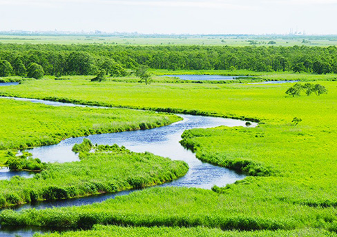 钏路&阿寒湖观光