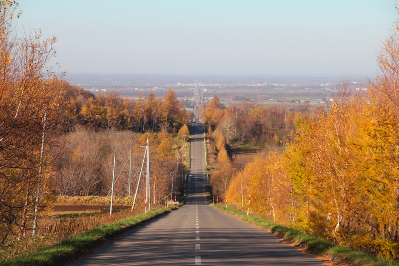 通往天堂的道路(秋)